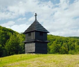 Čierna zvonica na zelenom kopci