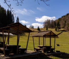 Podžiar